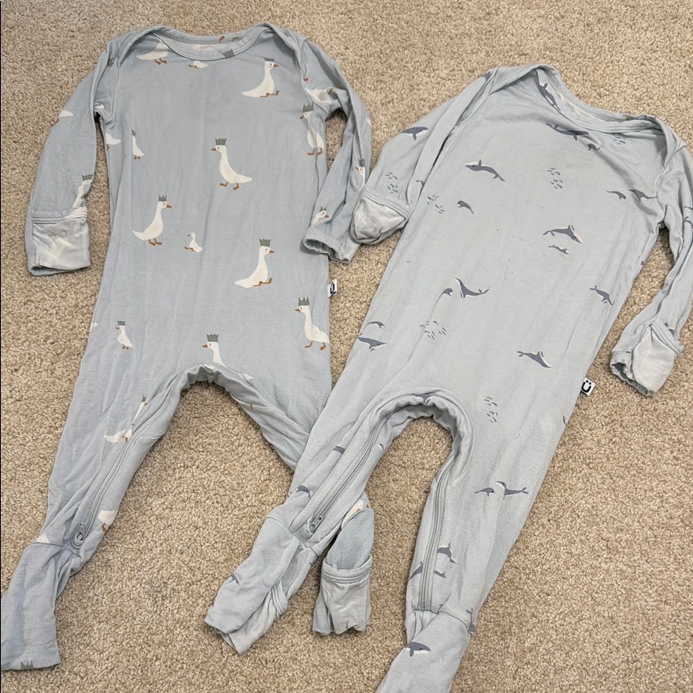 Gunamuna Sleepers